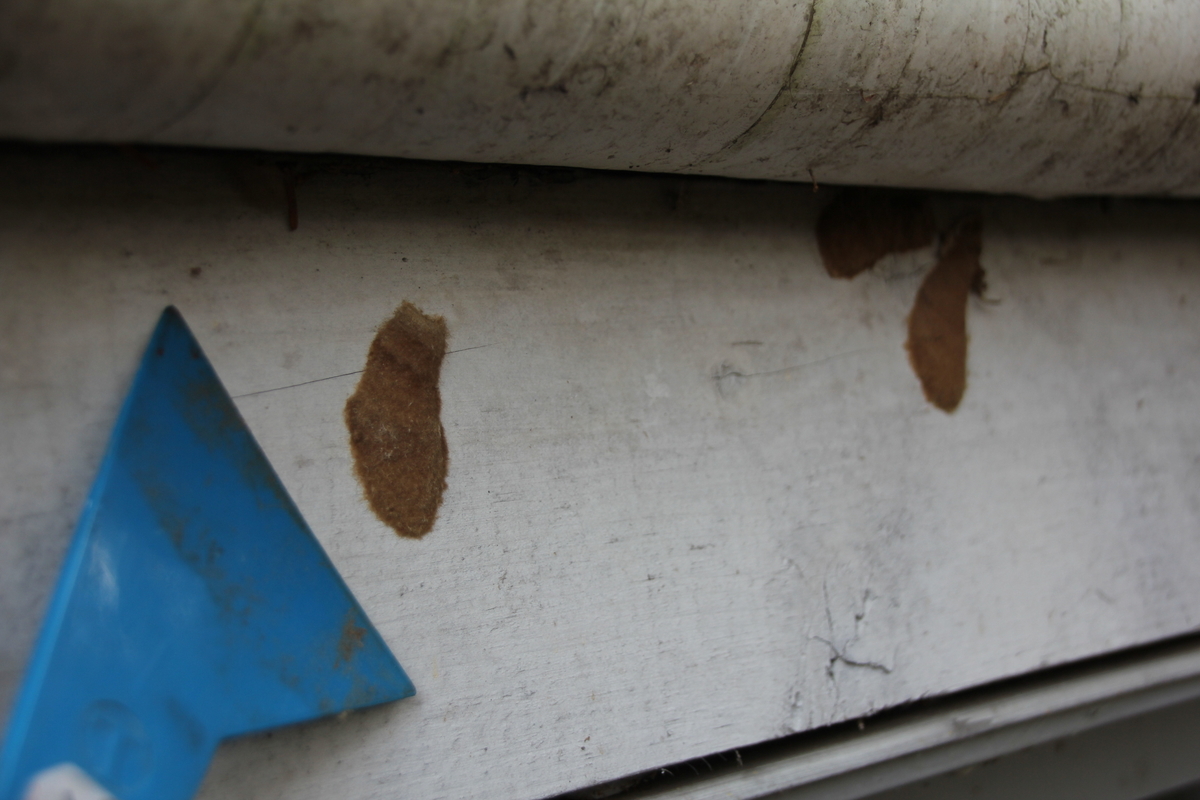 f:id:musikusanouen:20191203225459j:plain f:id:musikusanouen:20191203225459j:plain