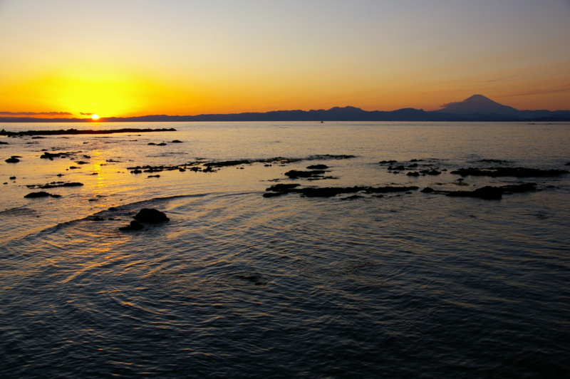 f:id:musim_durian:20060818051733j:image f:id:musim_durian:20060818051733j:image