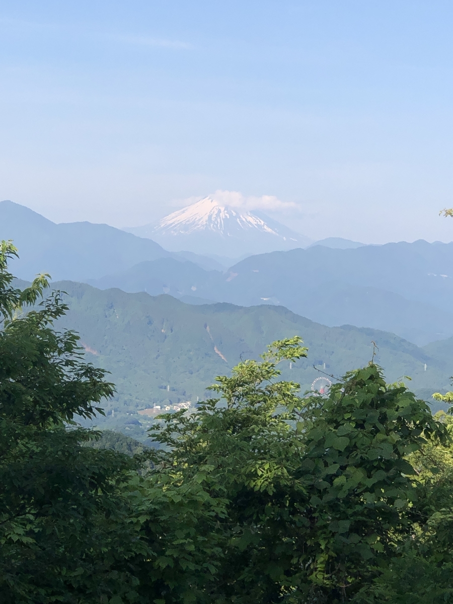 f:id:musou111111:20200603230958j:plain f:id:musou111111:20200603230958j:plain