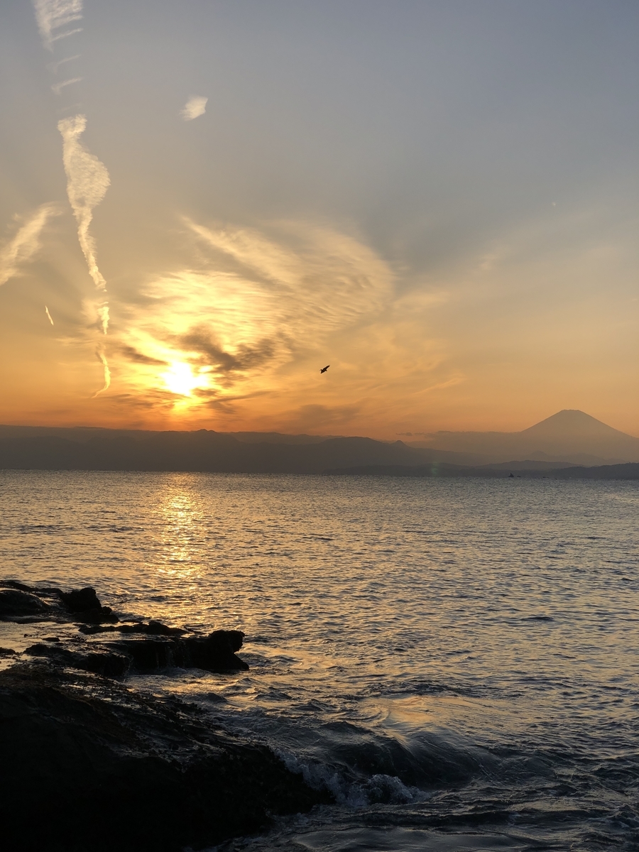 f:id:musou111111:20210312031150j:plain