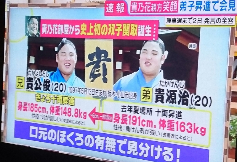 君も思い川を見たか 杖道の風