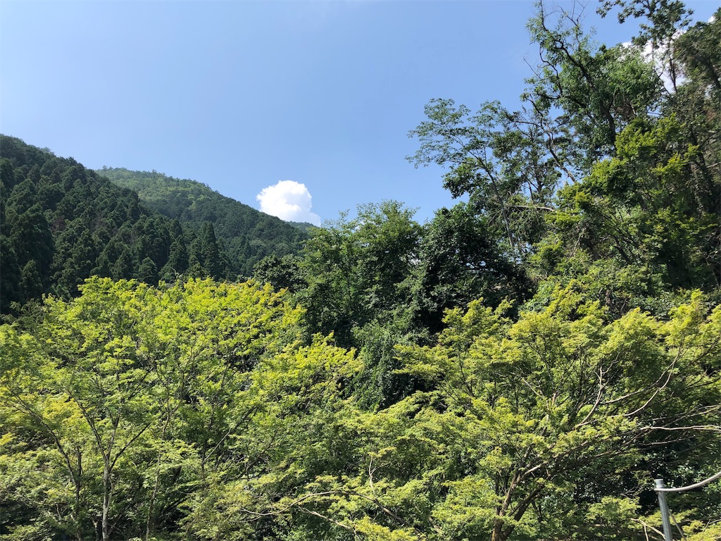 f:id:mustang55:20191117180816j:image f:id:mustang55:20191117180816j:image