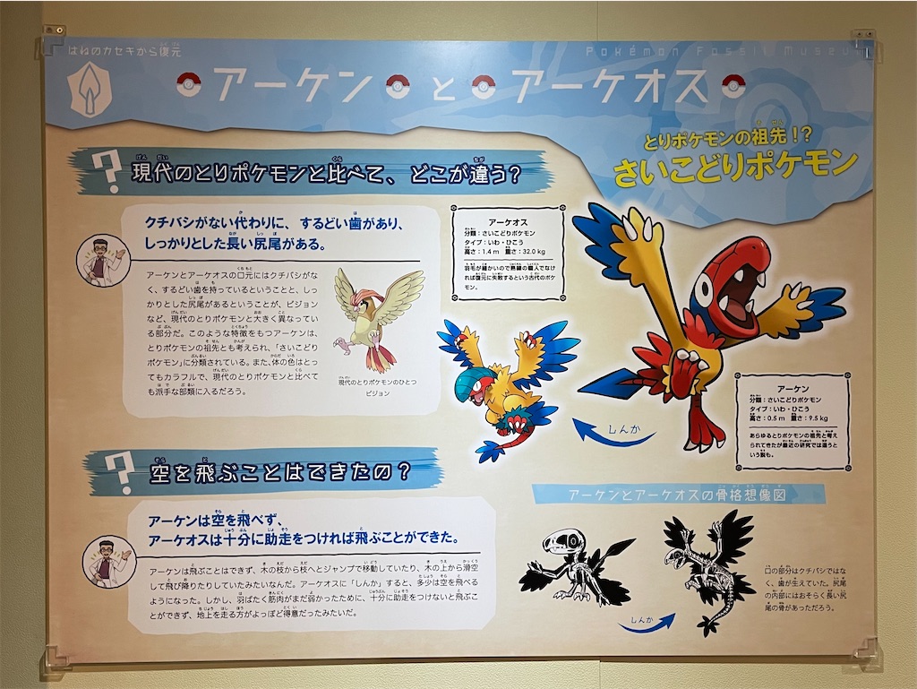 f:id:mustard_maru:20221214220739j:image