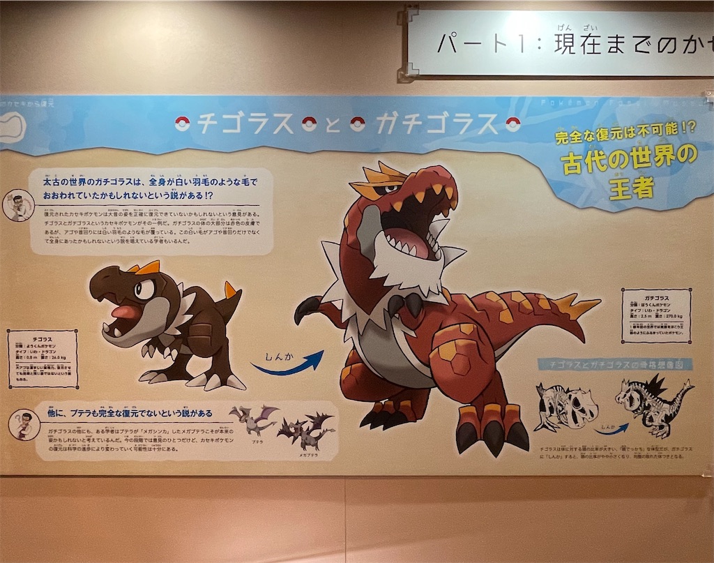 活動歴および当時の関連ビジュアル記録