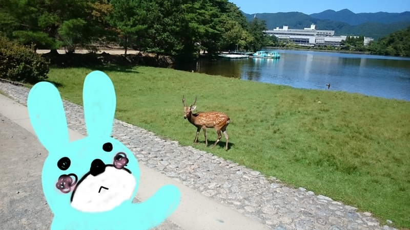 f:id:musu-n:20180112132804j:plain
