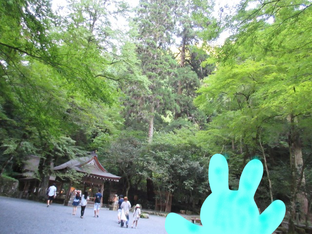f:id:musu-n:20191121112046p:plain
