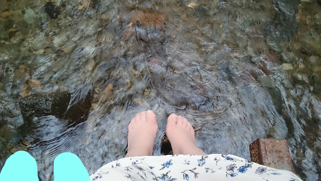 f:id:musu-n:20191121112244p:plain