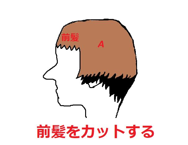 f:id:musukonokousyuu:20170708020555p:plain f:id:musukonokousyuu:20170708020555p:plain