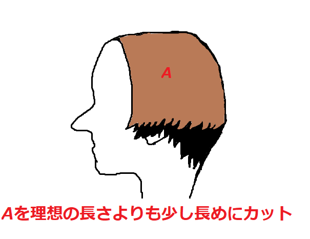 f:id:musukonokousyuu:20170708020612p:plain f:id:musukonokousyuu:20170708020612p:plain
