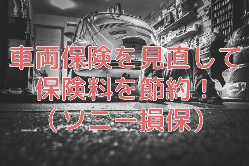 自動車 保険 車両