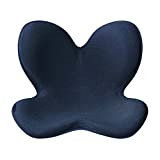【Amazon.co.jp 限定】MTG(エムティージー) MTG 骨盤サポートチェア Body Make Seat Style(ボディメイクシート スタイル) ネイビー【メーカー純正品 [1年保証]】 AM-BD12 ネイビー