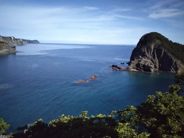 f:id:musyokunofutari:20210217095157j:image