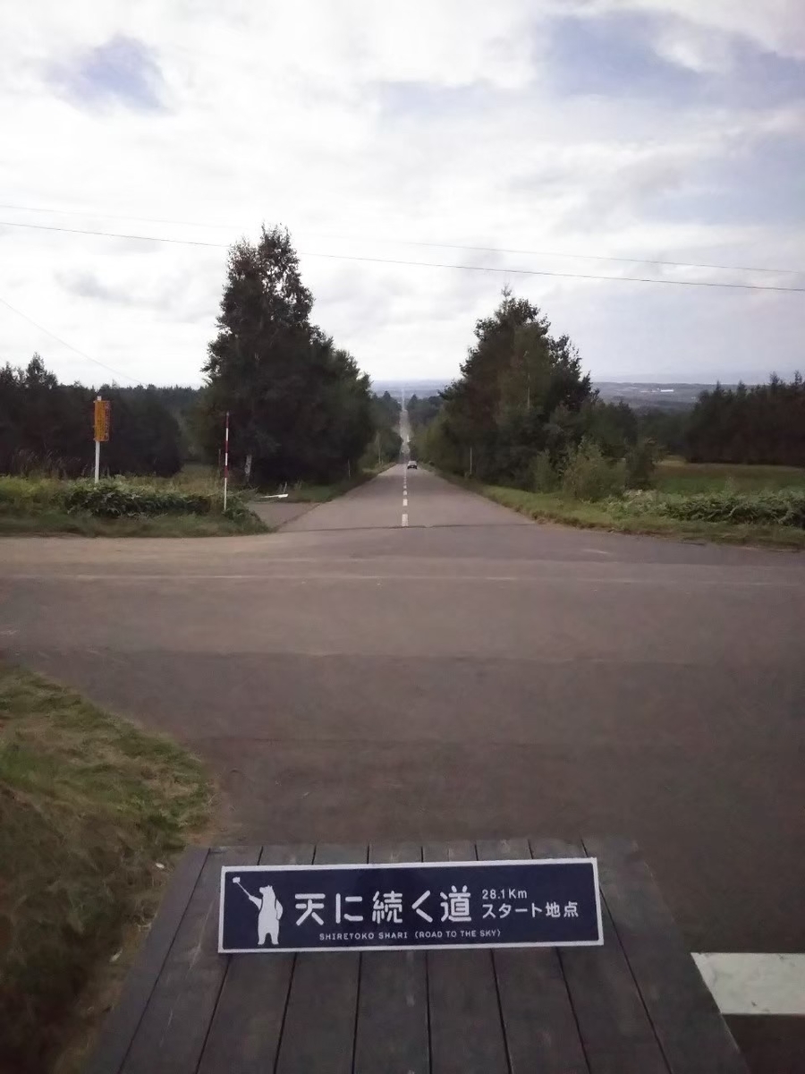 f:id:musyokunofutari:20210324145300j:plain