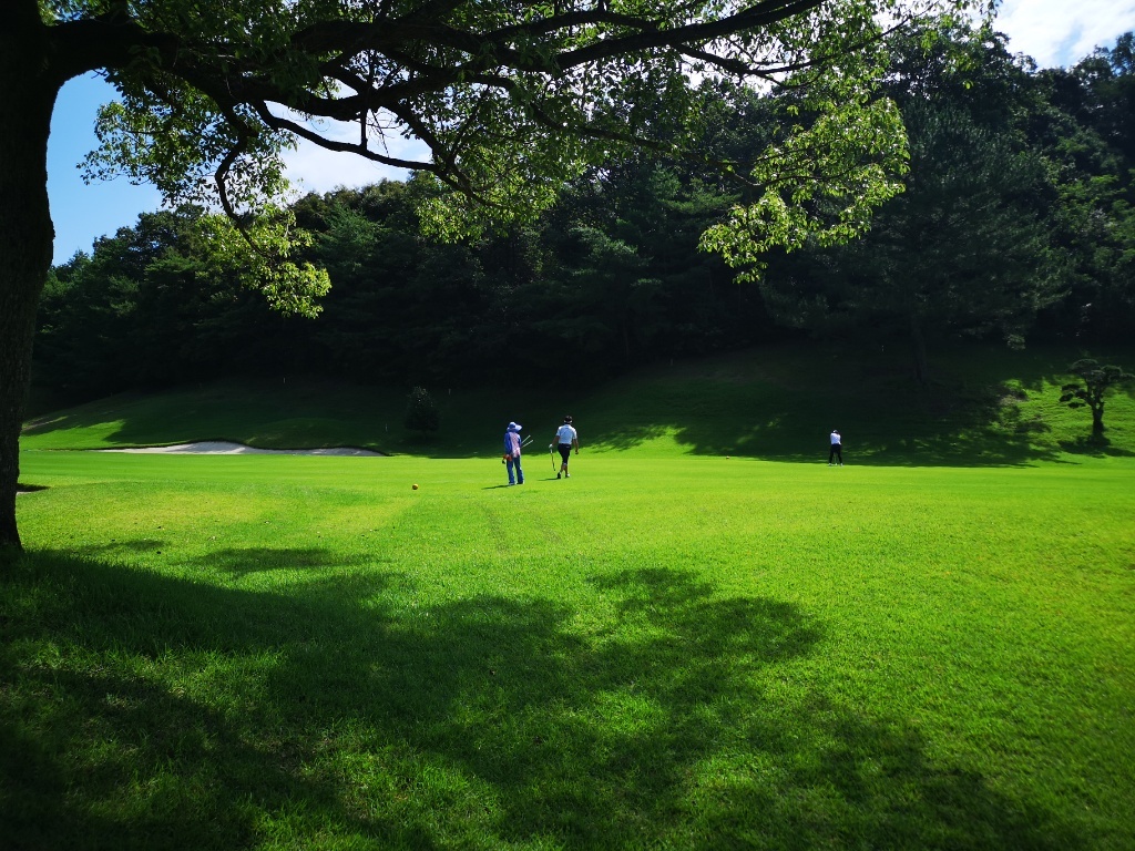 f:id:mutakoba:20200719204915j:plain f:id:mutakoba:20200719204915j:plain