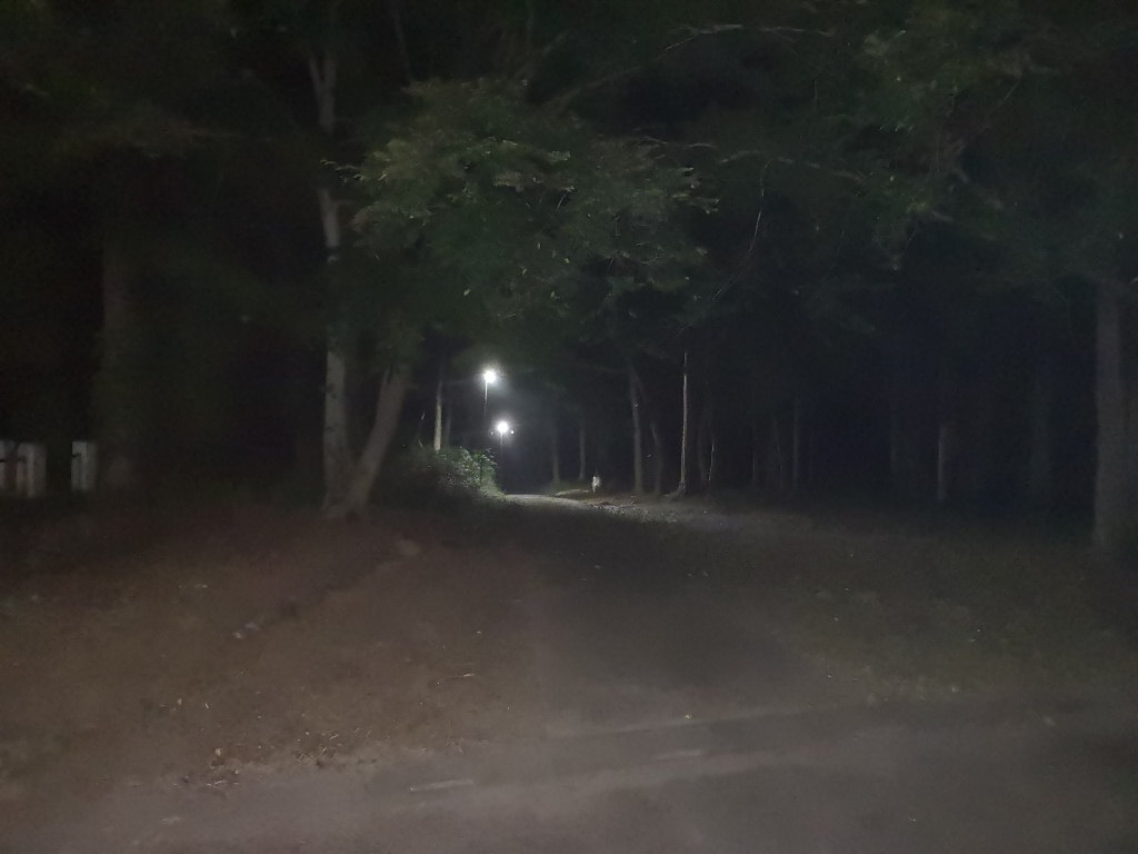 f:id:mutakoba:20200812105717j:plain