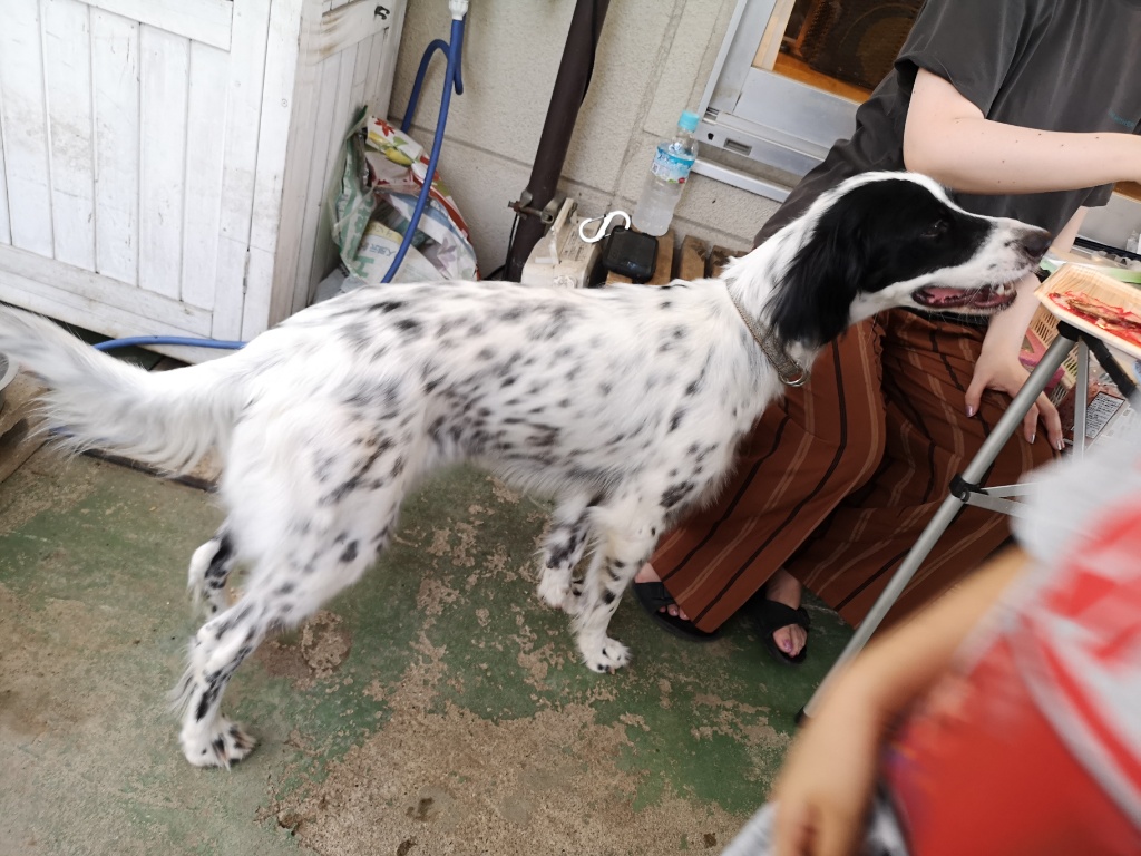 f:id:mutakoba:20200812105902j:plain