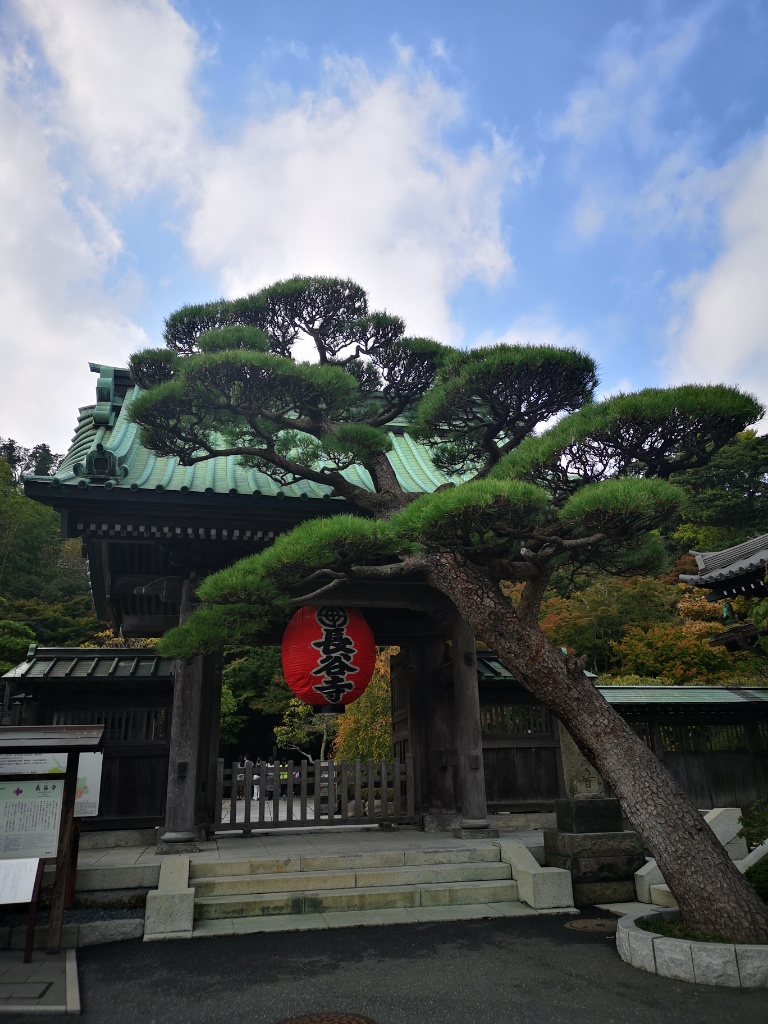 f:id:mutakoba:20201108211633j:plain