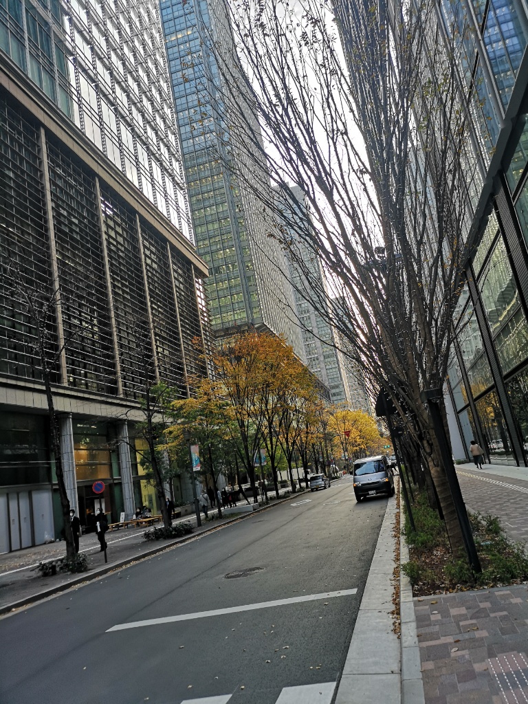 f:id:mutakoba:20201220221431j:plain