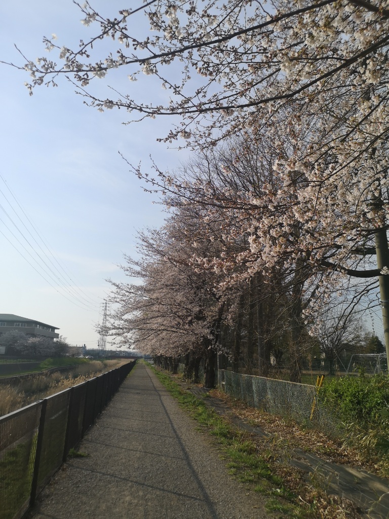 f:id:mutakoba:20210328101948j:plain