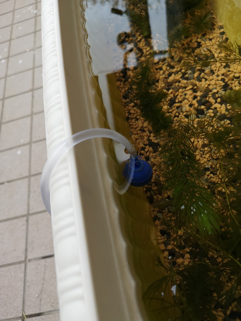 f:id:mutakoba:20210427204134j:plain