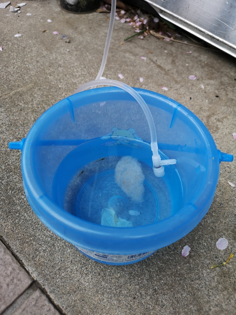 f:id:mutakoba:20210427204211j:plain