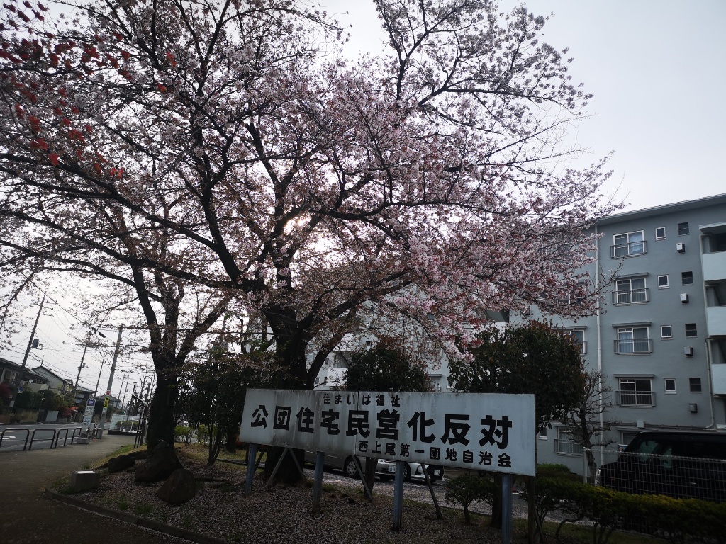 f:id:mutakoba:20220407073747j:plain