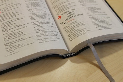 f:id:mutant-tetsu:20180420123159j:plain f:id:mutant-tetsu:20180420123159j:plain