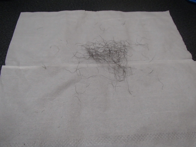 f:id:mutekiinc:20130517214434j:plain f:id:mutekiinc:20130517214434j:plain