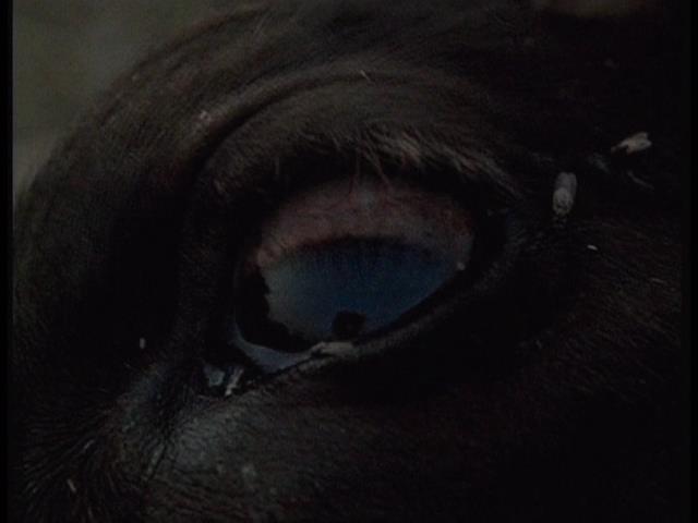 f:id:mutekityouzin:20161021095354j:plain