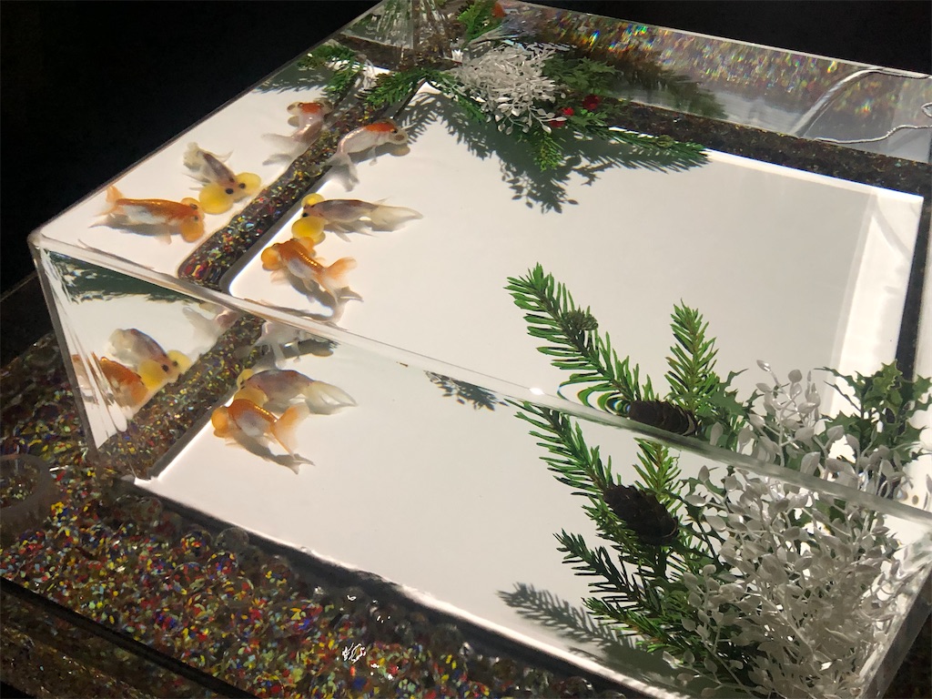 f:id:mutekityouzin:20231216122838j:image