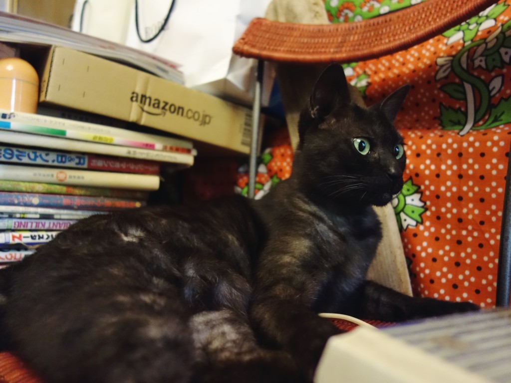 f:id:mutilation:20170701154303j:plain f:id:mutilation:20170701154303j:plain