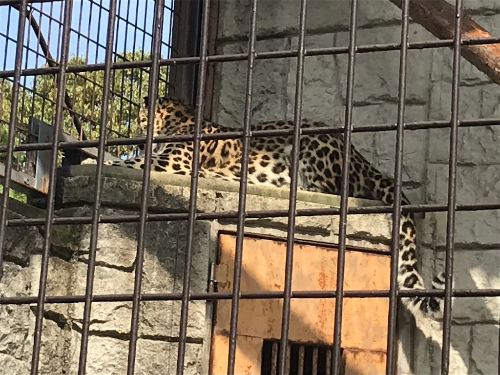 f:id:mutouryuuichi:20191029123558j:image