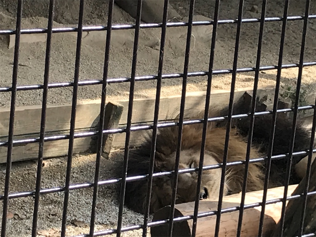 f:id:mutouryuuichi:20191029123606j:image