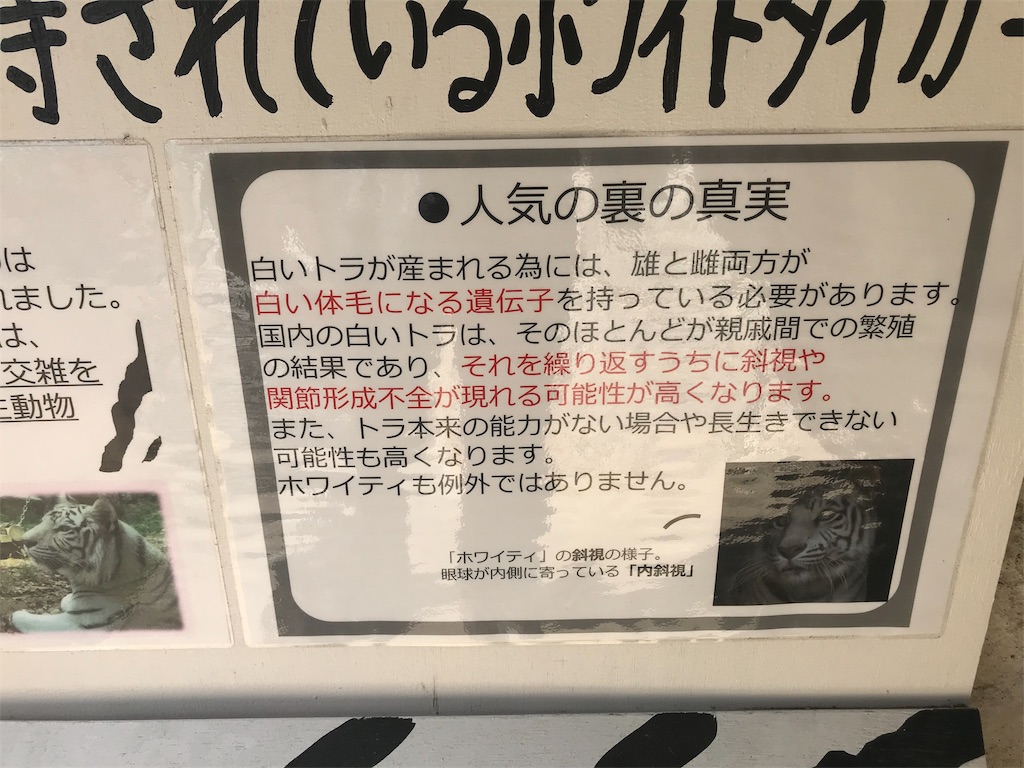 f:id:mutouryuuichi:20191029150731j:image
