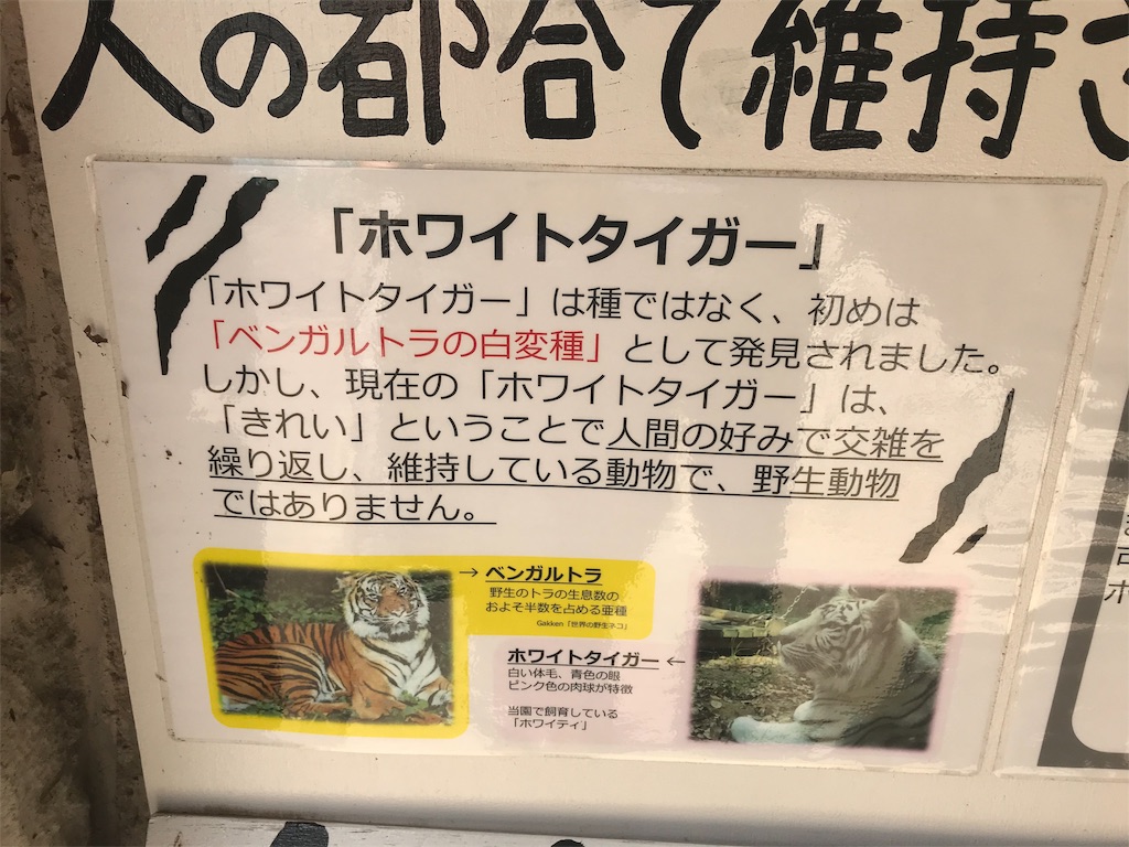 f:id:mutouryuuichi:20191029150734j:image
