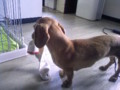 20090912092359