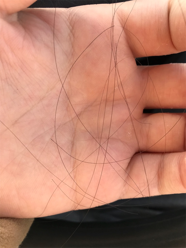 f:id:mutsukichikun:20190210072311j:image