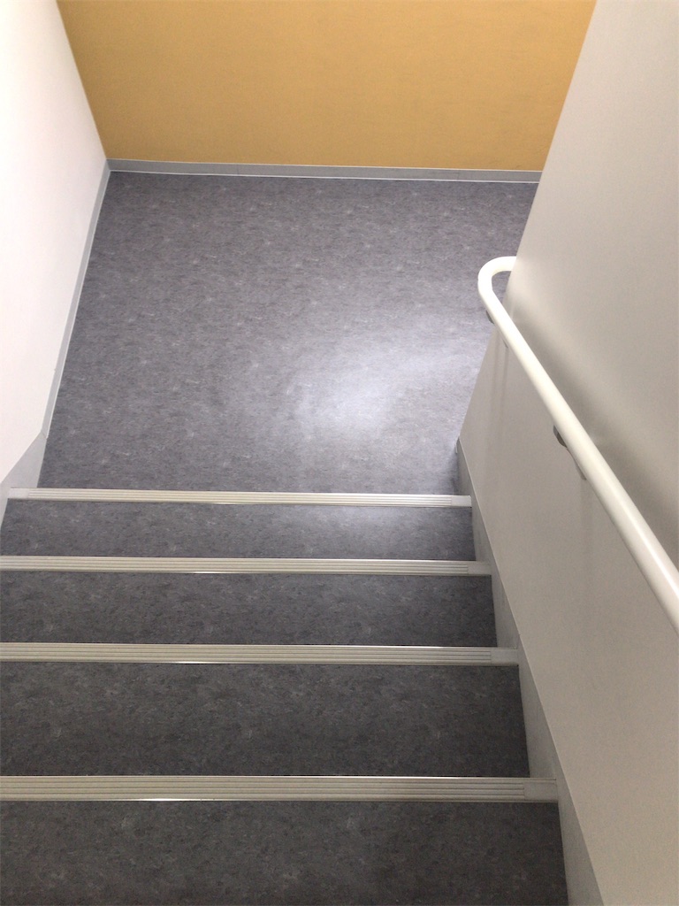 f:id:mutsukichikun:20190224133105j:image