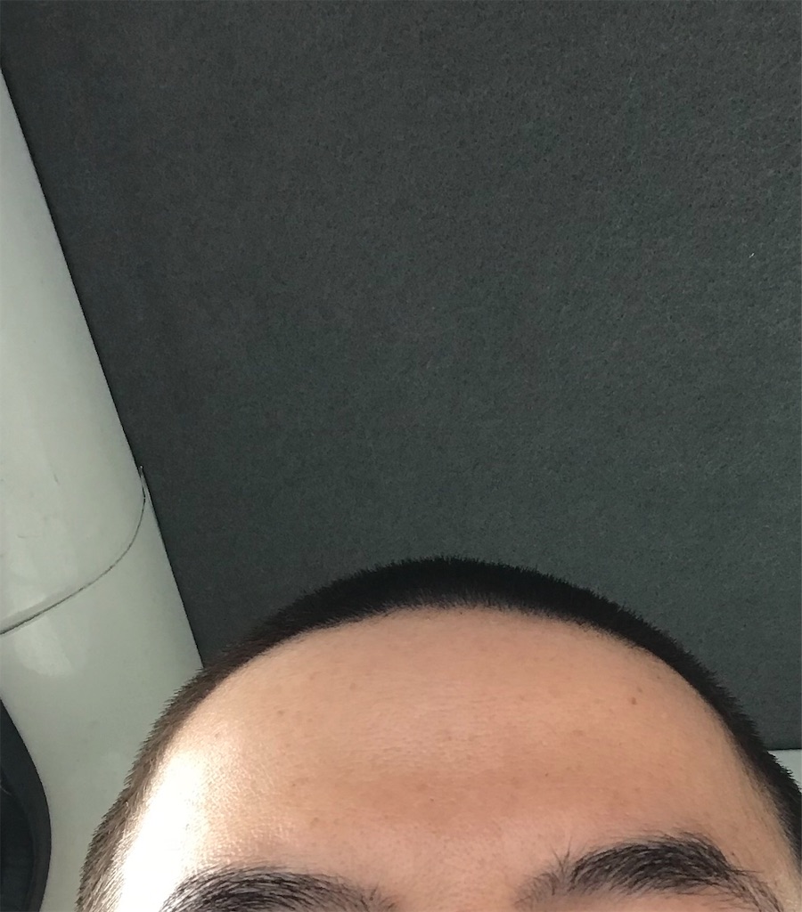 f:id:mutsukichikun:20190304235847j:image