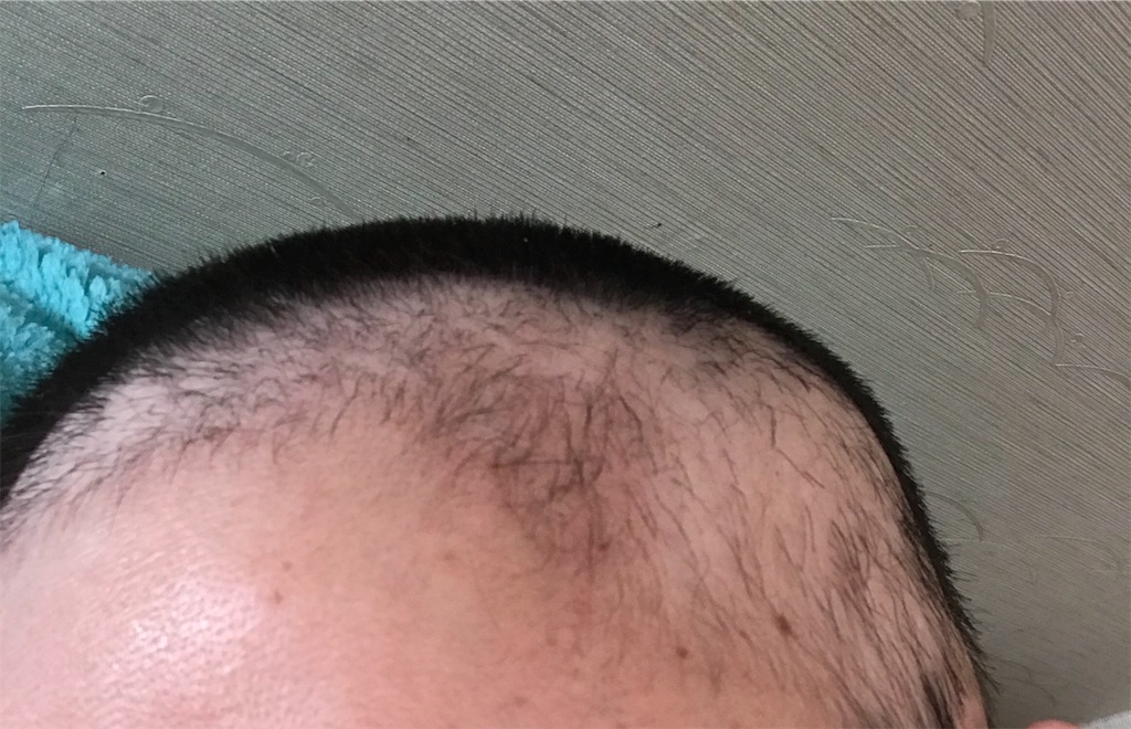 f:id:mutsukichikun:20190305000046j:image