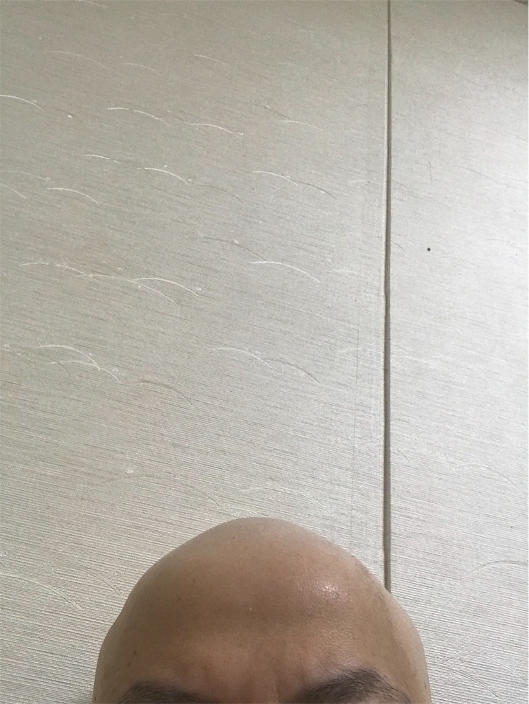 f:id:mutsukichikun:20190305001200j:image