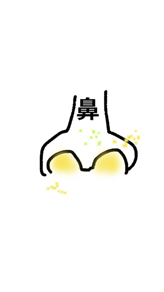 f:id:mutsukichikun:20190305135307p:image