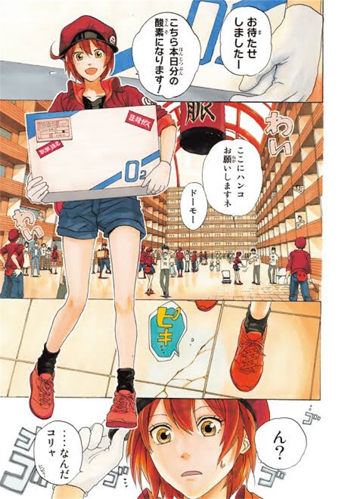 f:id:mutsukichikun:20190316173544j:image