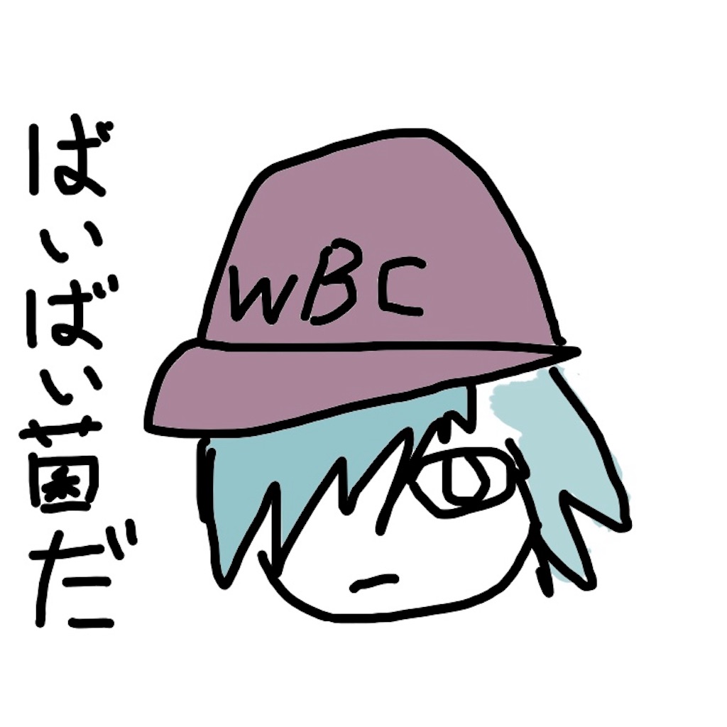 f:id:mutsukichikun:20190321152632j:image