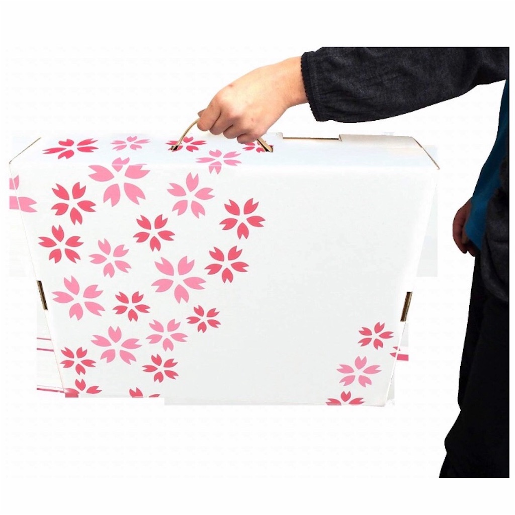 f:id:mutsukichikun:20190327114953j:image