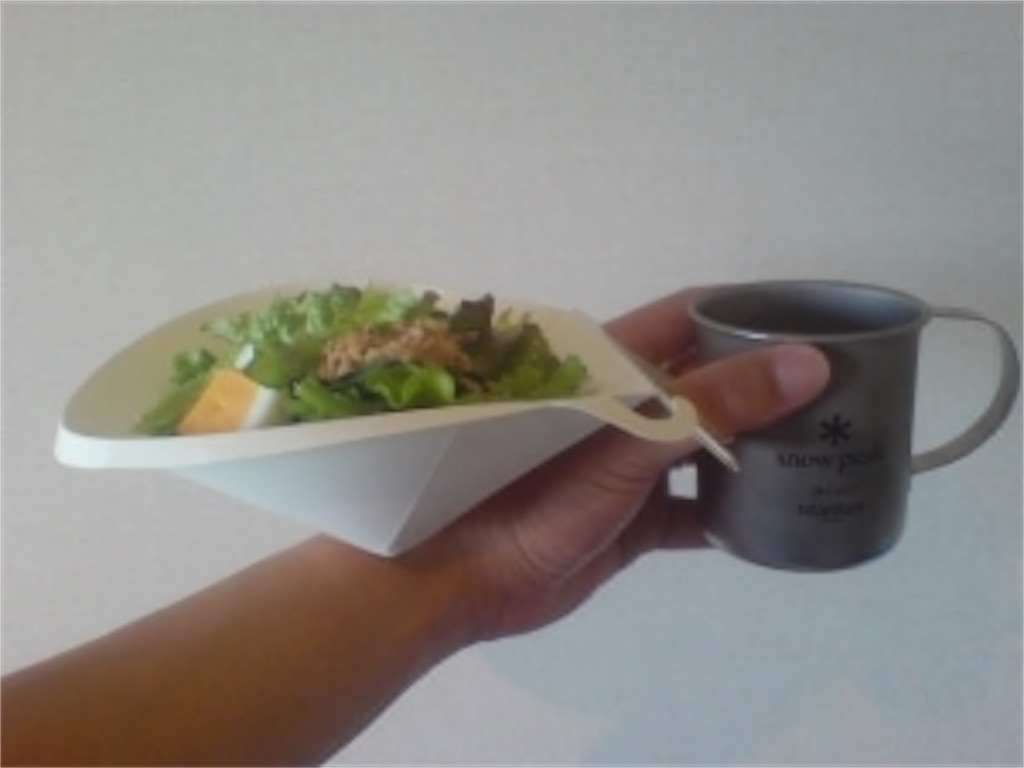 f:id:mutsukichikun:20190327131606j:image