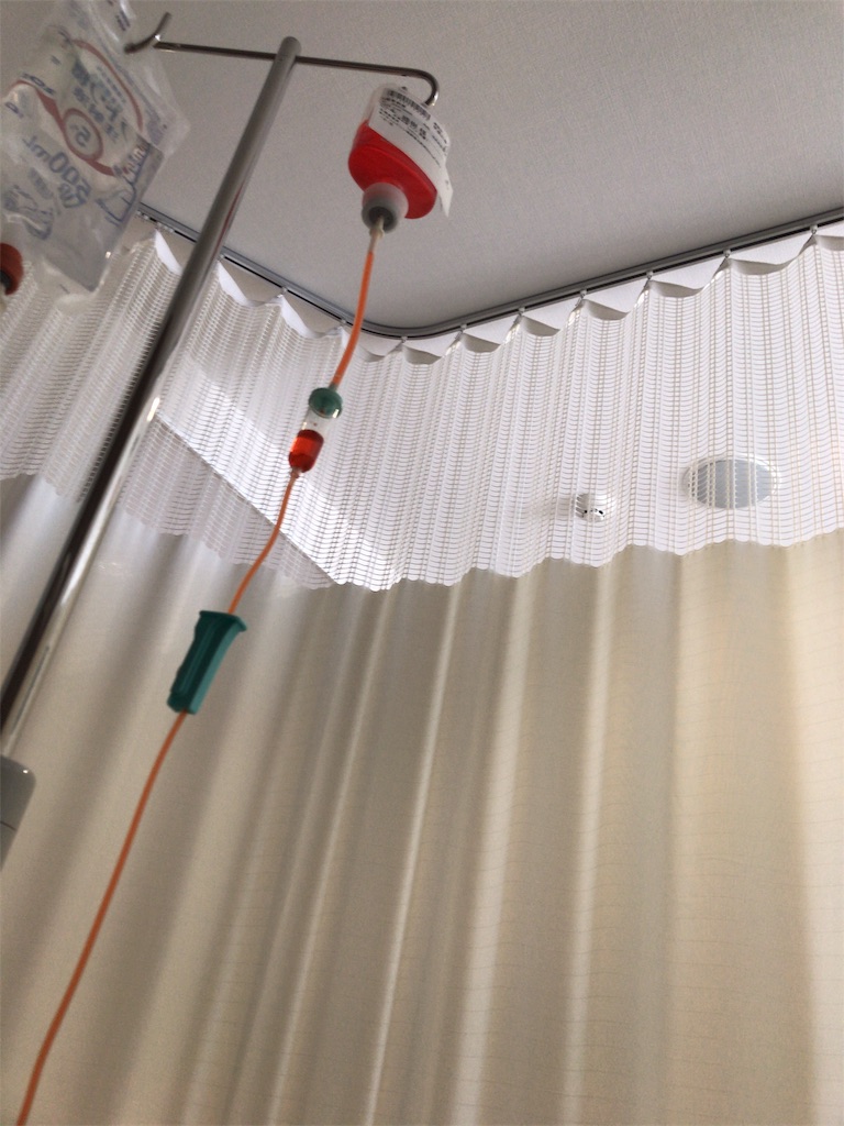 f:id:mutsukichikun:20190403080700j:image