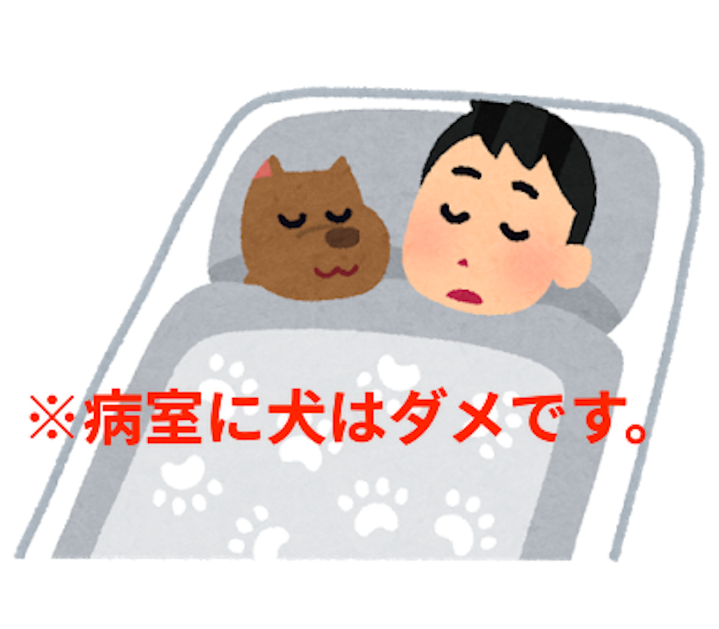 f:id:mutsukichikun:20190409075811p:image