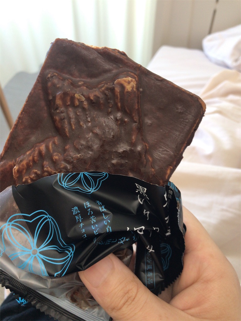 f:id:mutsukichikun:20190427163144j:image