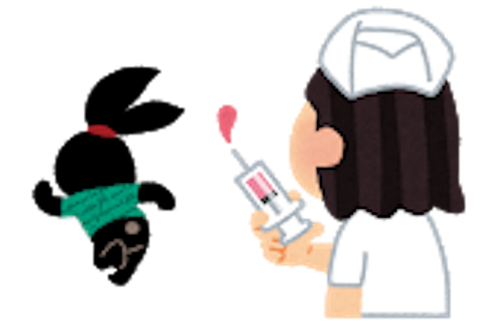 f:id:mutsukichikun:20190427194219p:image